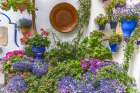 Centro District, Cordoba, Andalusia, Spain. Courtyard garden of a home Art Print
